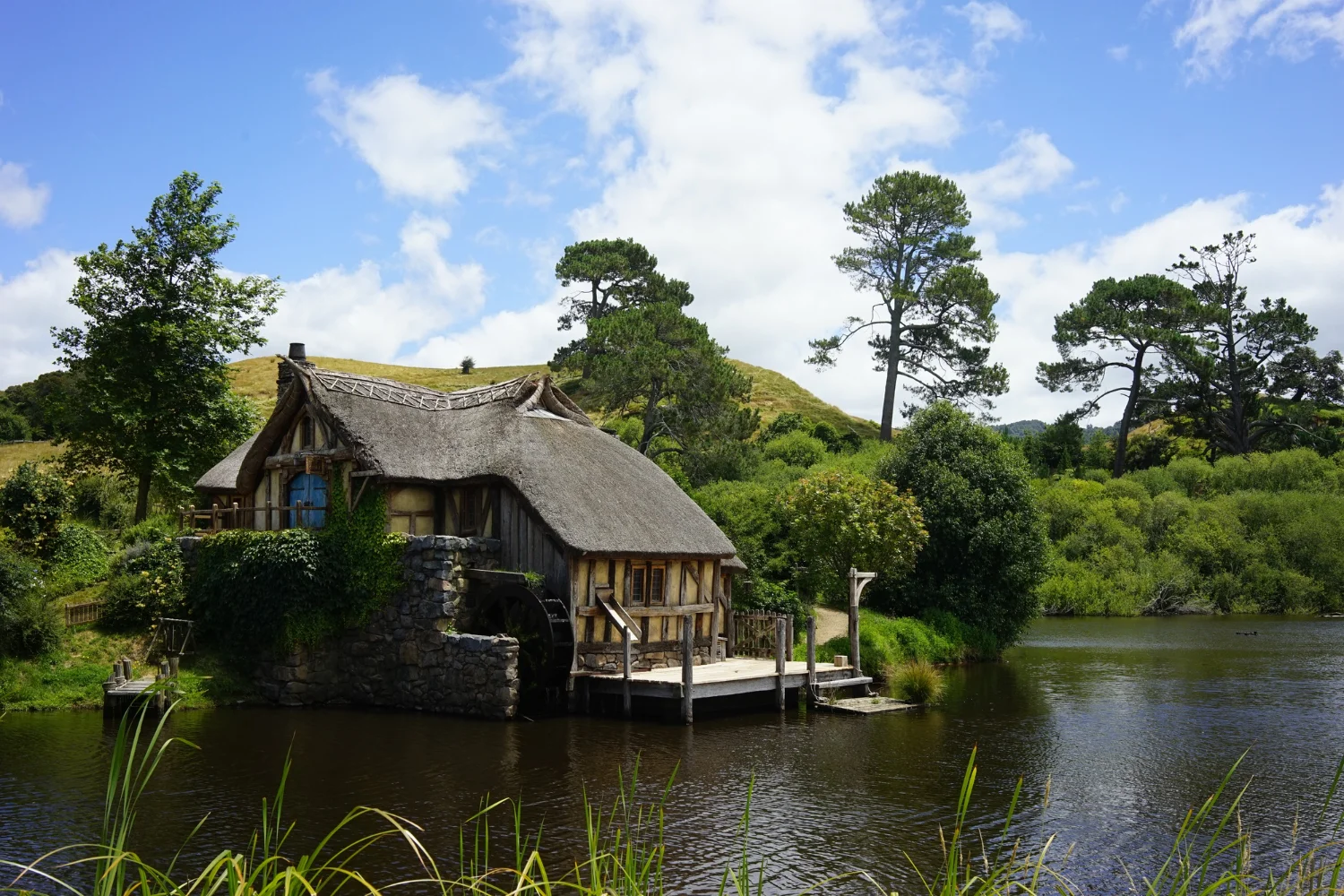 Unique stay listing such as a cabin, farm stay or houseboat surrounded by nature