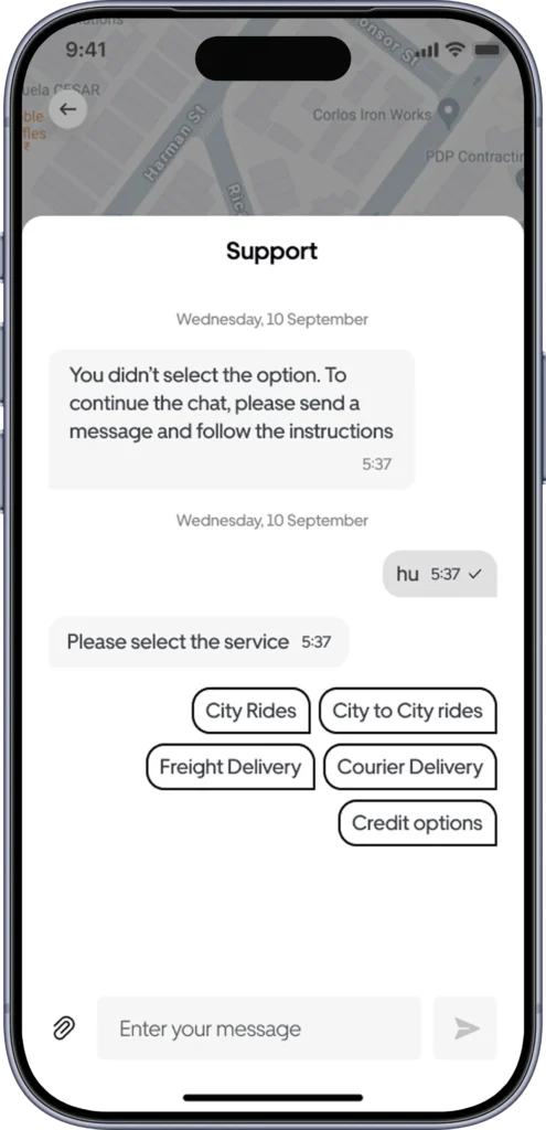 In-app support chat offering city rides, freight and courier delivery service options